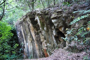 parco di monte ceceri - antica cava 2