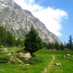 Val Ferret - Alberto Pestelli © 2007