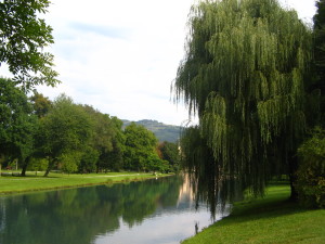 Francia - Il parco del castello di Vizille - © Alberto Pestelli 2007