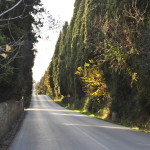 Viale dei Cipressi