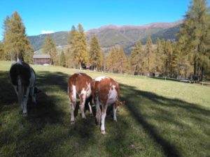 Val Fiscalina © Gianni Marucelli 2016