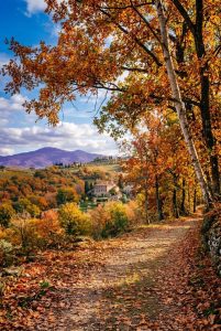 Le previsioni del mese di Ottobre 2026